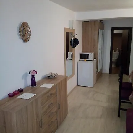 Apartment Studio Vihren 32 *